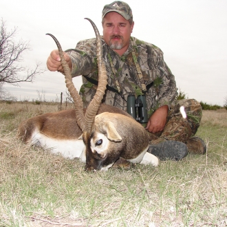 19" Trophy Blackbuck